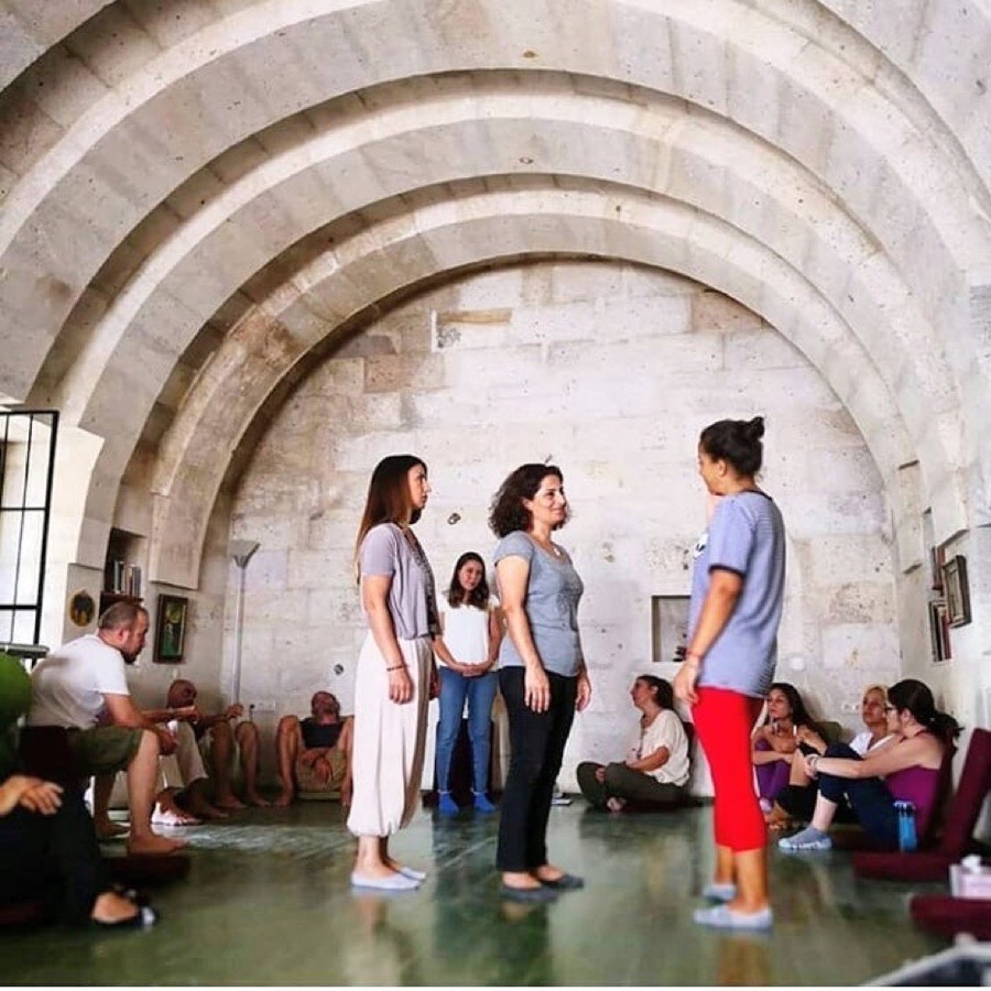 Aile dizimi · 2018